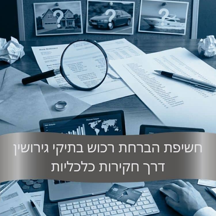 חשיפת הברחת רכוש בתיקי גירושין דרך חקירות כלכליות - גל חקירות